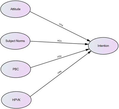 Determinants of HPV vaccine uptake intentions in Chinese clinical interns: an extended theory of planned behavior approach